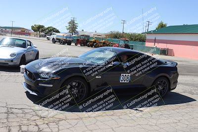 media/Sep-21-2024-Speed Ventures (Sat) [[ca63a59790]]/Around the Pits/